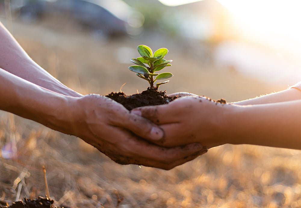 5 Ways Bidets are Better for the Environment