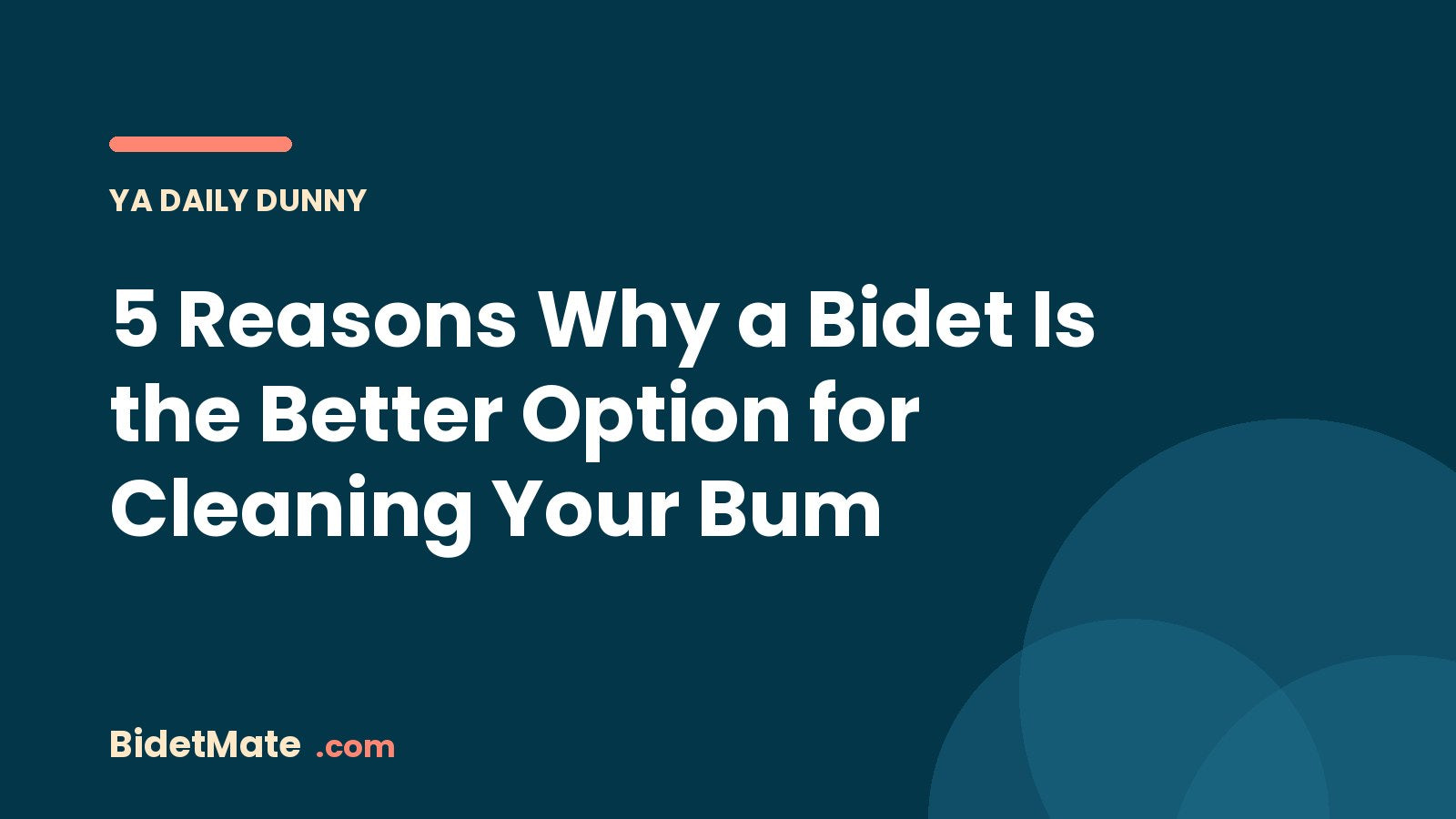 5 Reasons Why a Bidet Is the Better Option for Cleaning Your Bum