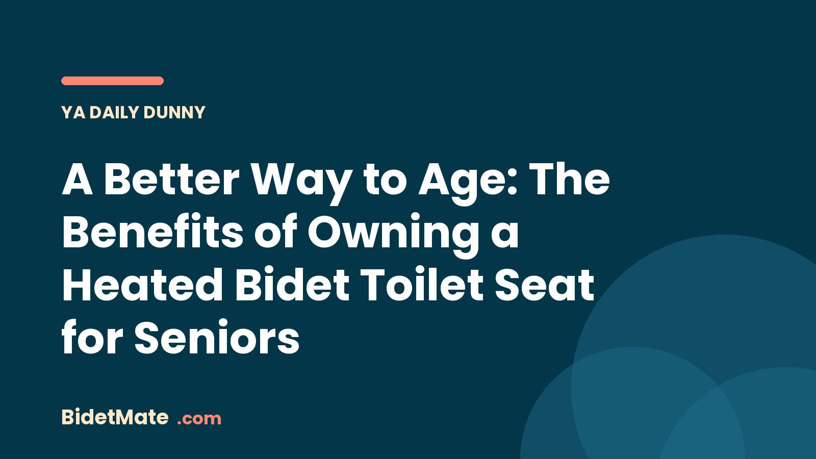 A Better Way to Age: The Benefits of Owning a Heated Bidet Toilet Seat for Seniors