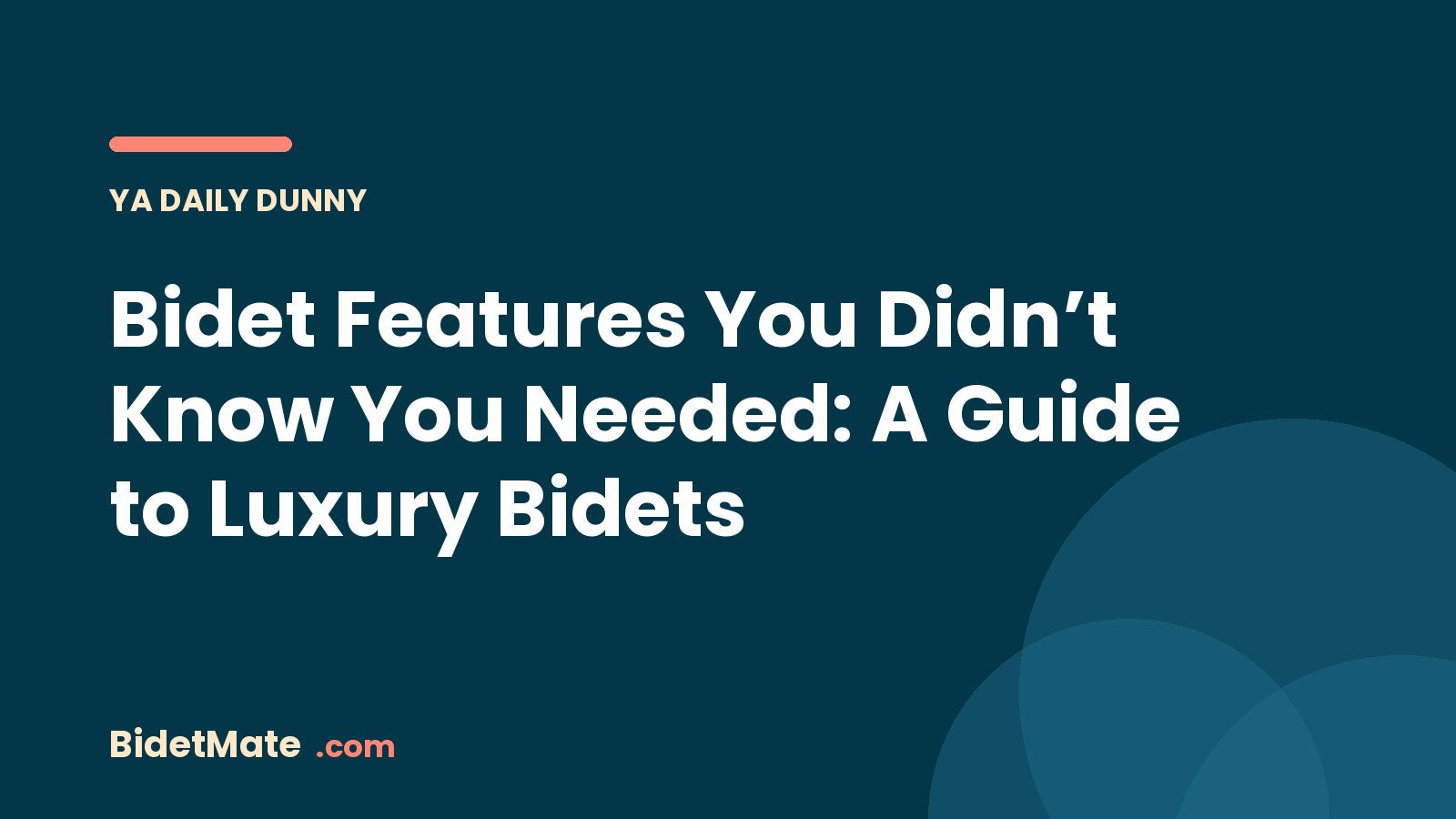 Bidet Features You Didn’t Know You Needed: A Guide to Luxury Bidets