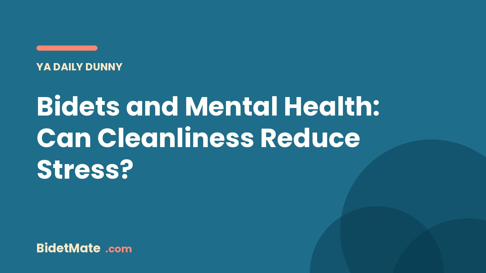 Bidets and Mental Health: Can Cleanliness Reduce Stress?