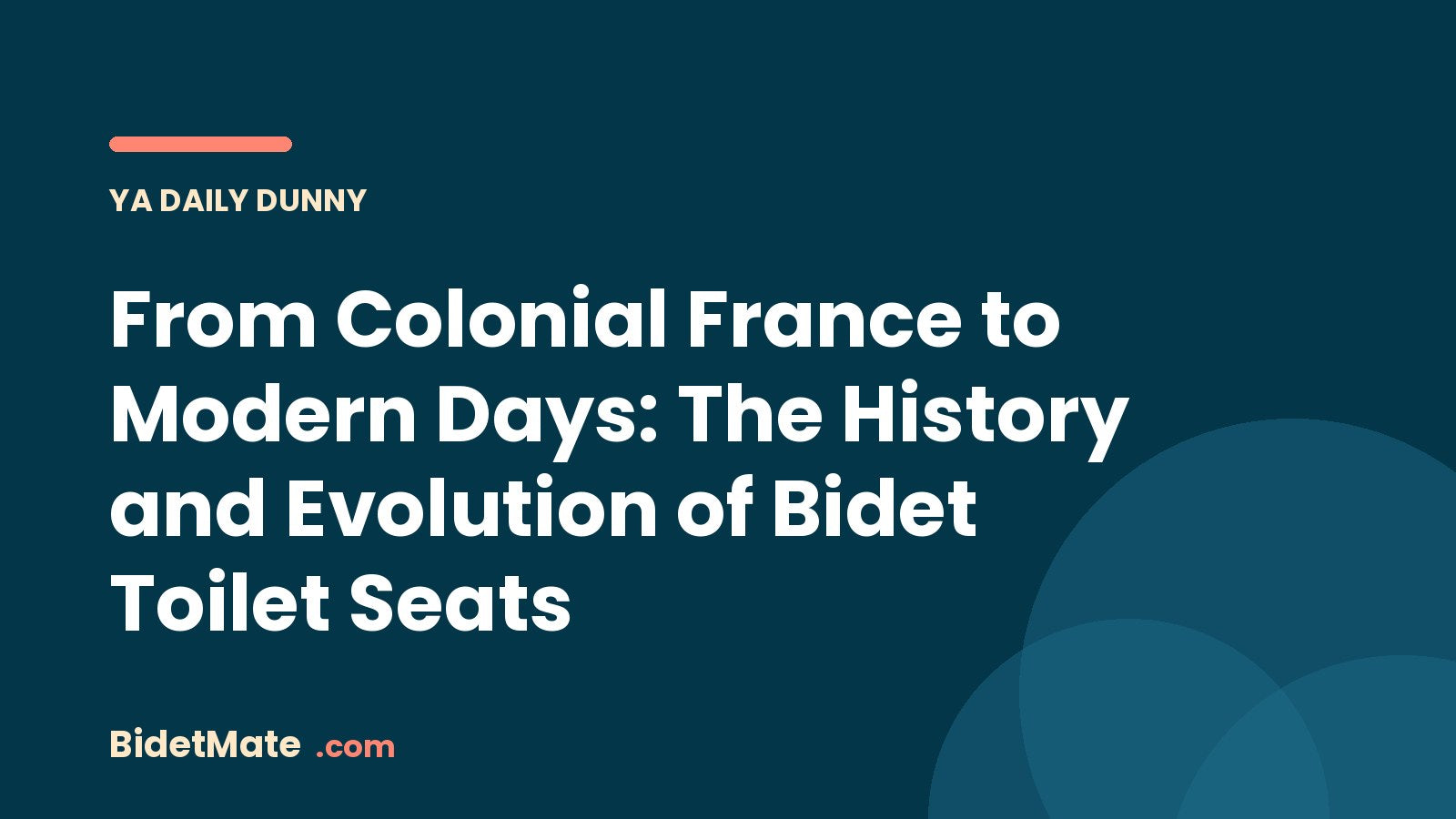 From Colonial France to Modern Days: The History and Evolution of Bidet Toilet Seats