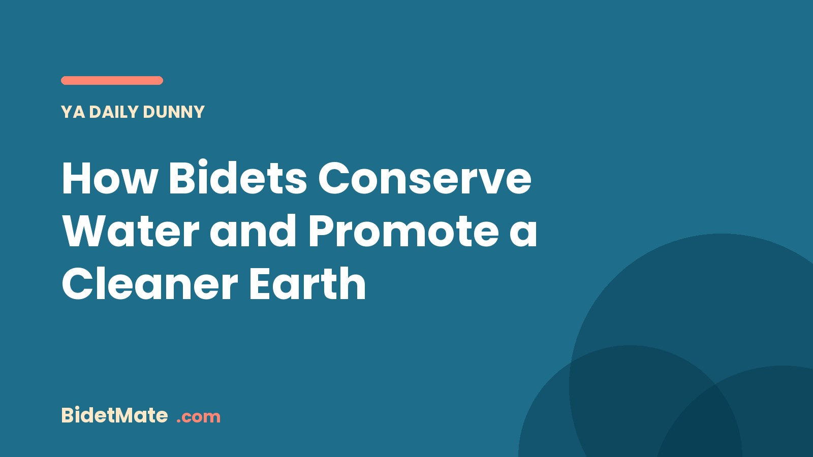 How Bidets Conserve Water and Promote a Cleaner Earth