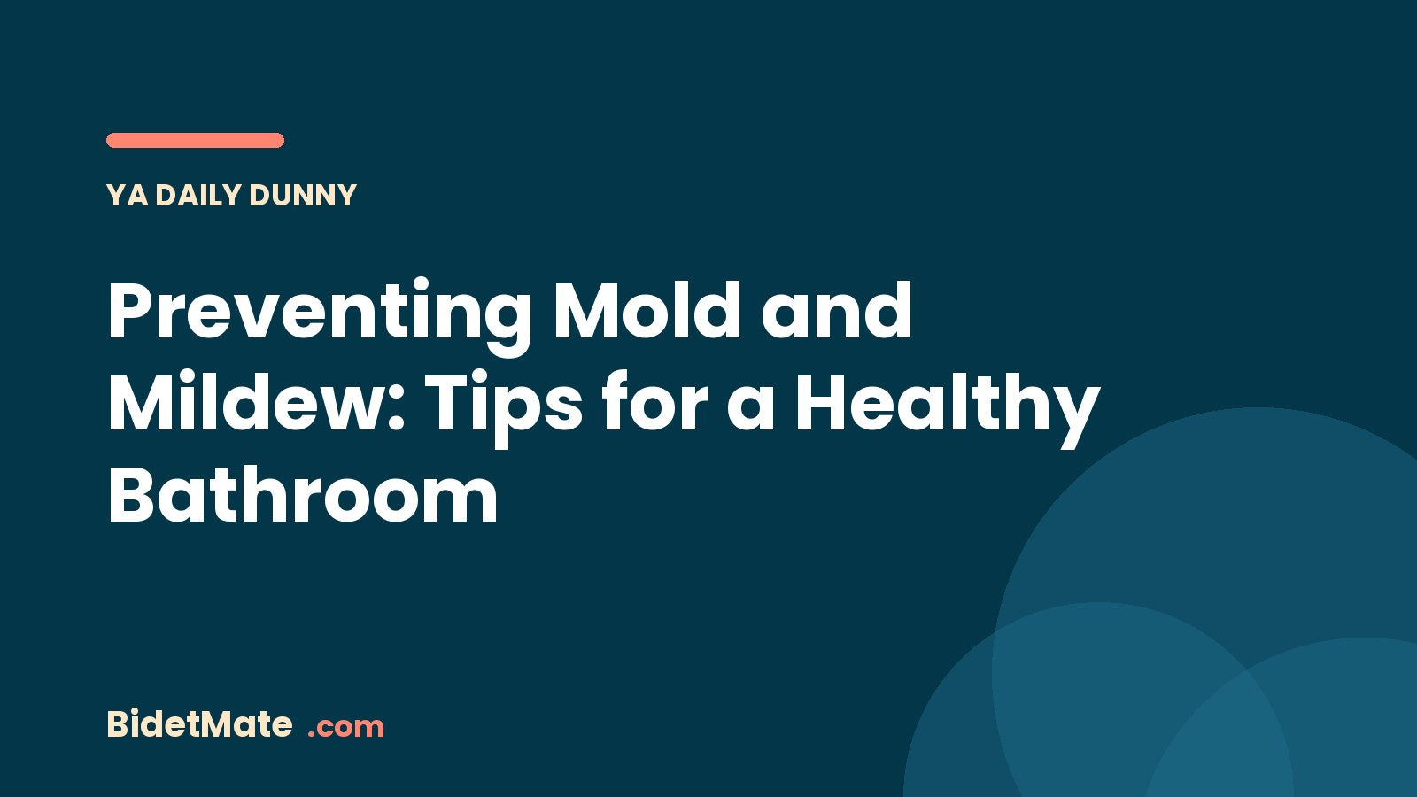 Preventing Mold and Mildew: Tips for a Healthy Bathroom