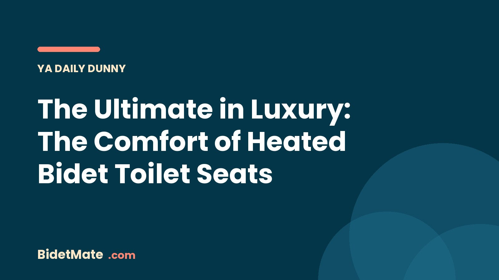 The Ultimate in Luxury: The Comfort of Heated Bidet Toilet Seats
