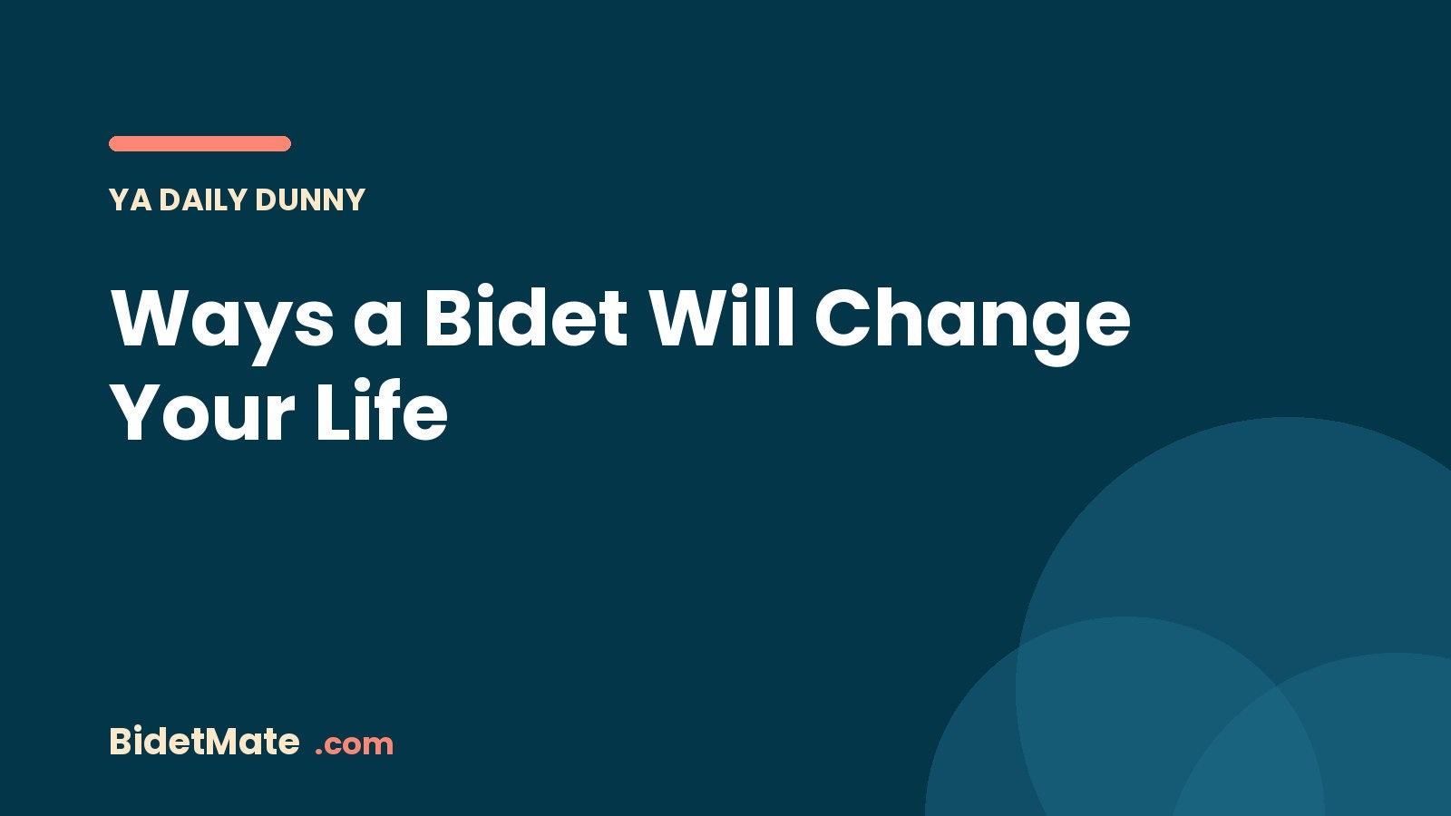 Ways a Bidet Will Change Your Life