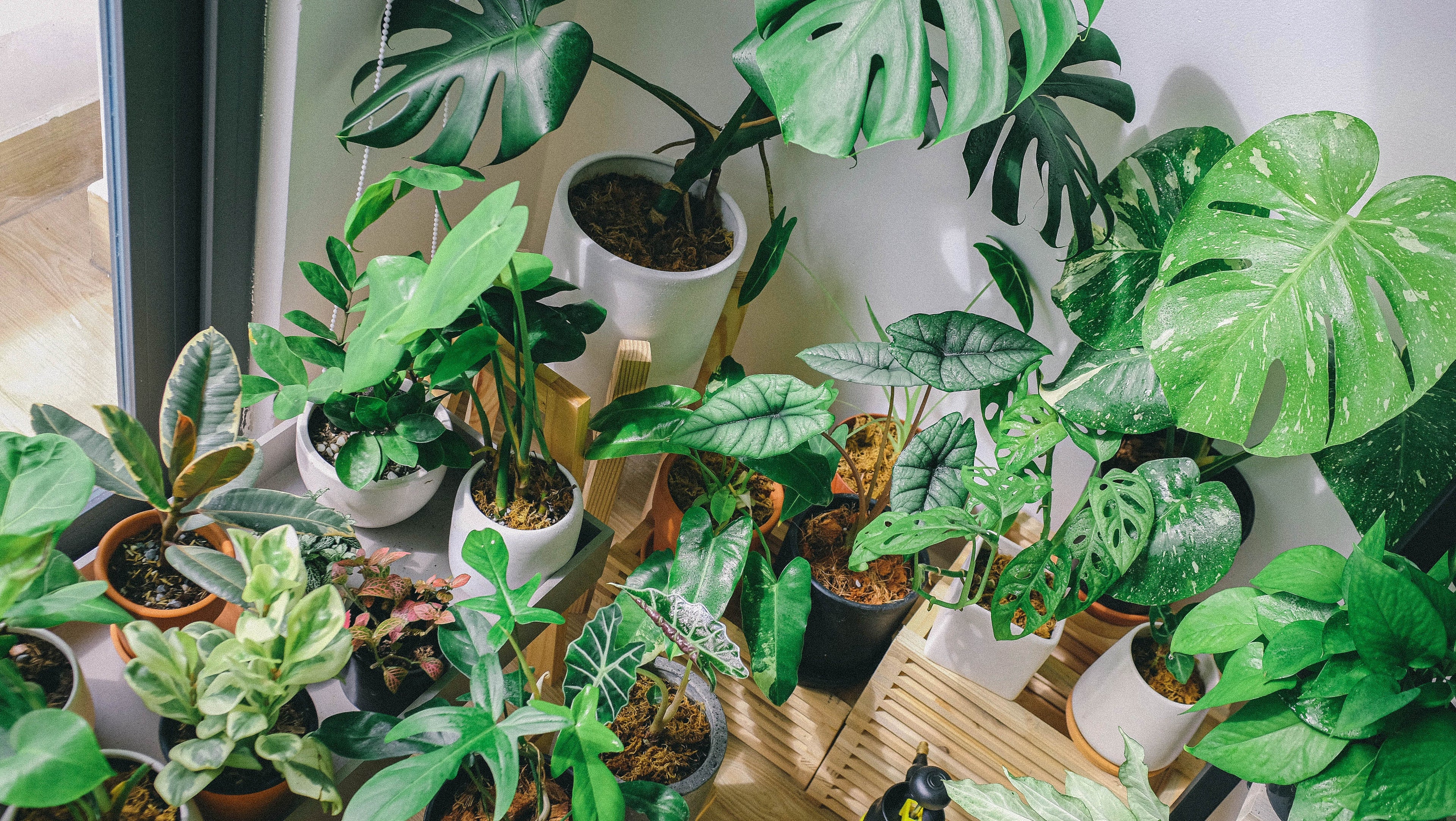 Greening Your Bathroom: Eco-Friendly Upgrades for a Sustainable Space