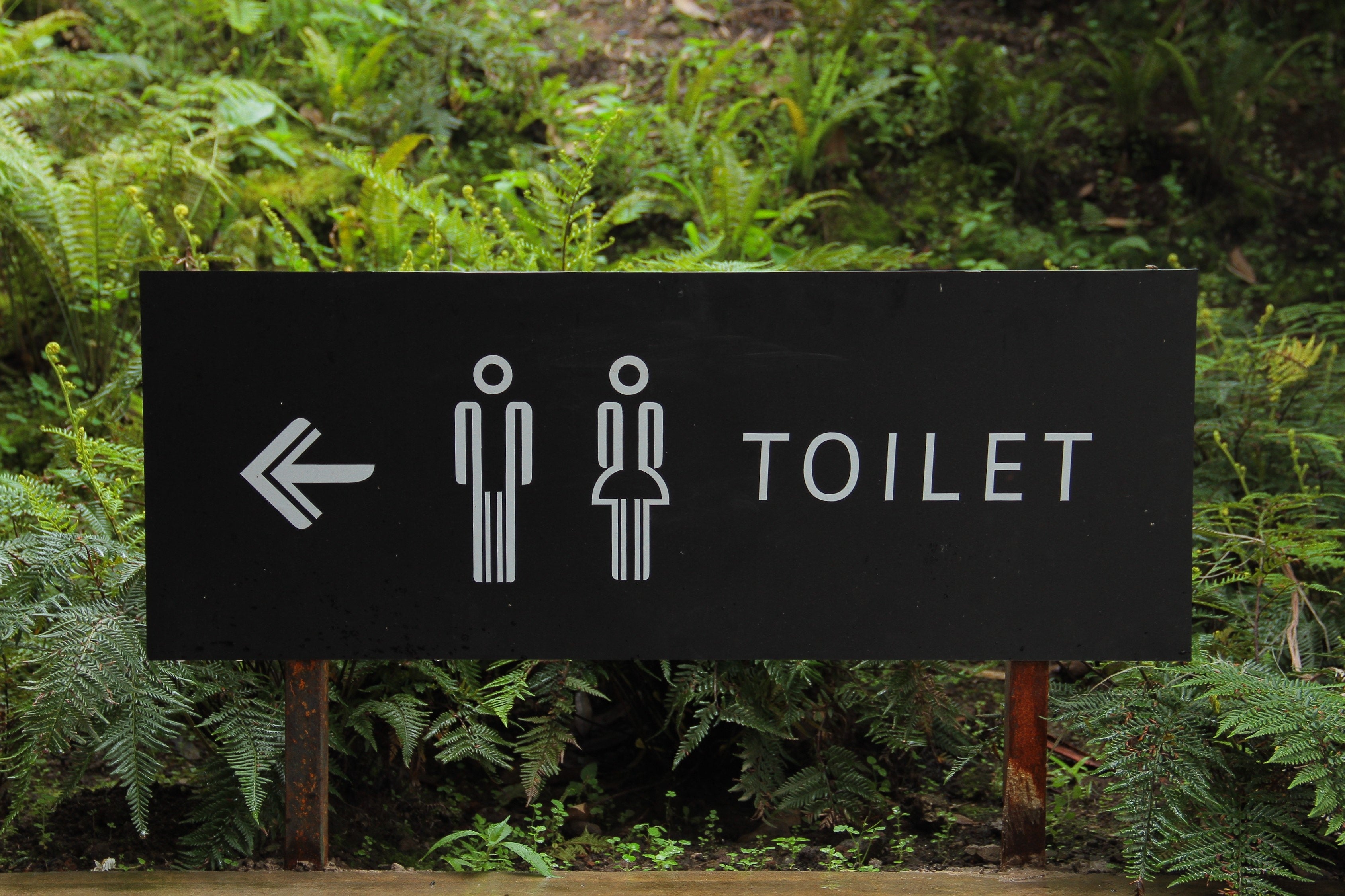 Stay Confident and Dry: Bidet Toilet Seats and Managing Incontinence