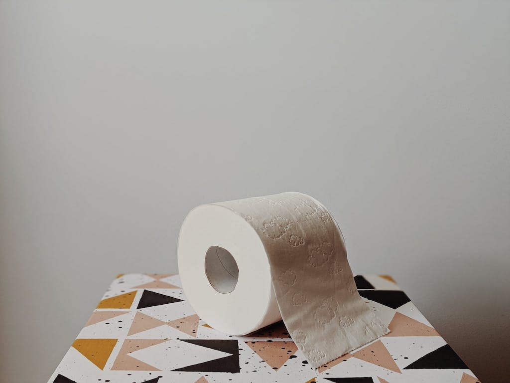 Toilet Paper Statistics That Will Blow Your Mind